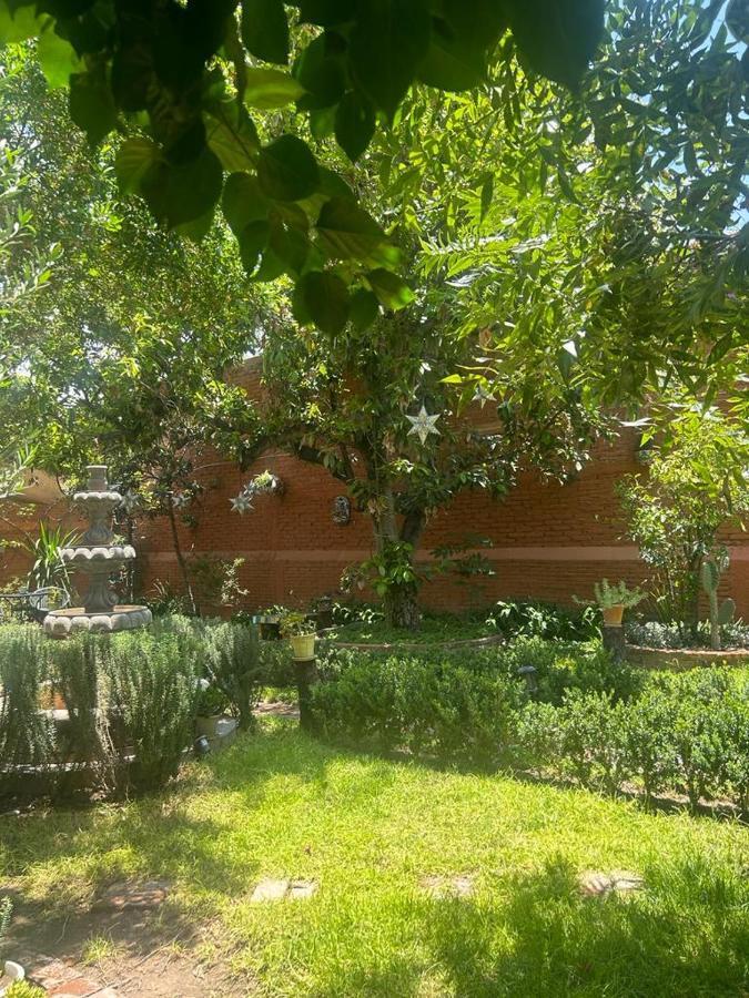 Casa Matia Bed And Breakfast Сан Мигел де Аленде Екстериор снимка